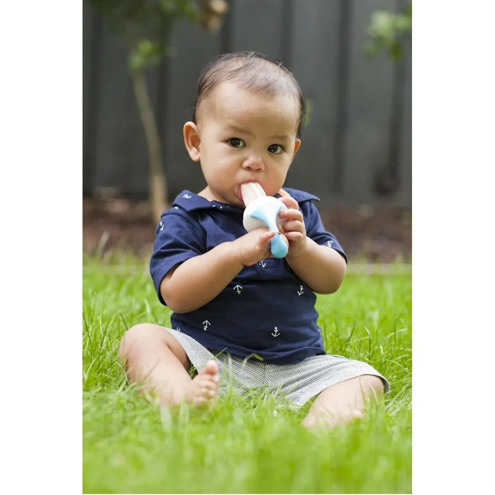 B.Box Fresh Food Feeder (Raspberry)