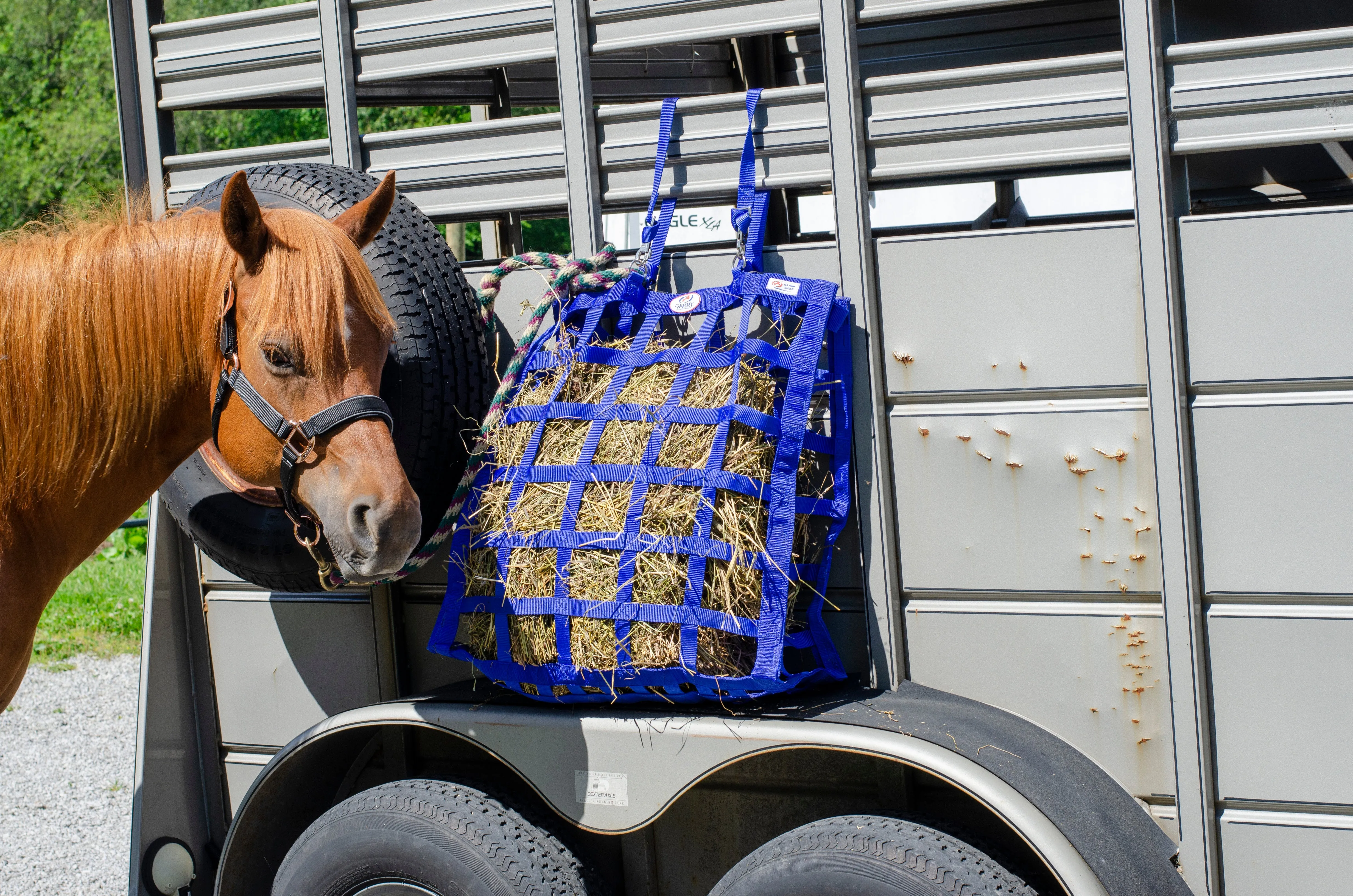 Derby Originals Easy Feeder Horse Hay Bag with Super Tough Bottom with 3.5"x3” Rectangular Openings  and 1 Year Warranty