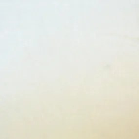 Pure White Lightweight Cotton Velvet
